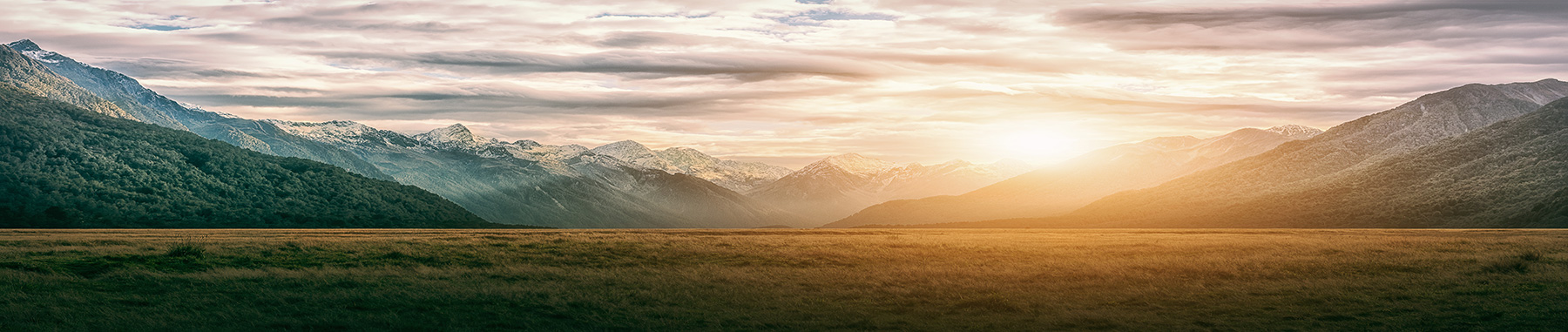 New Zealand landscape