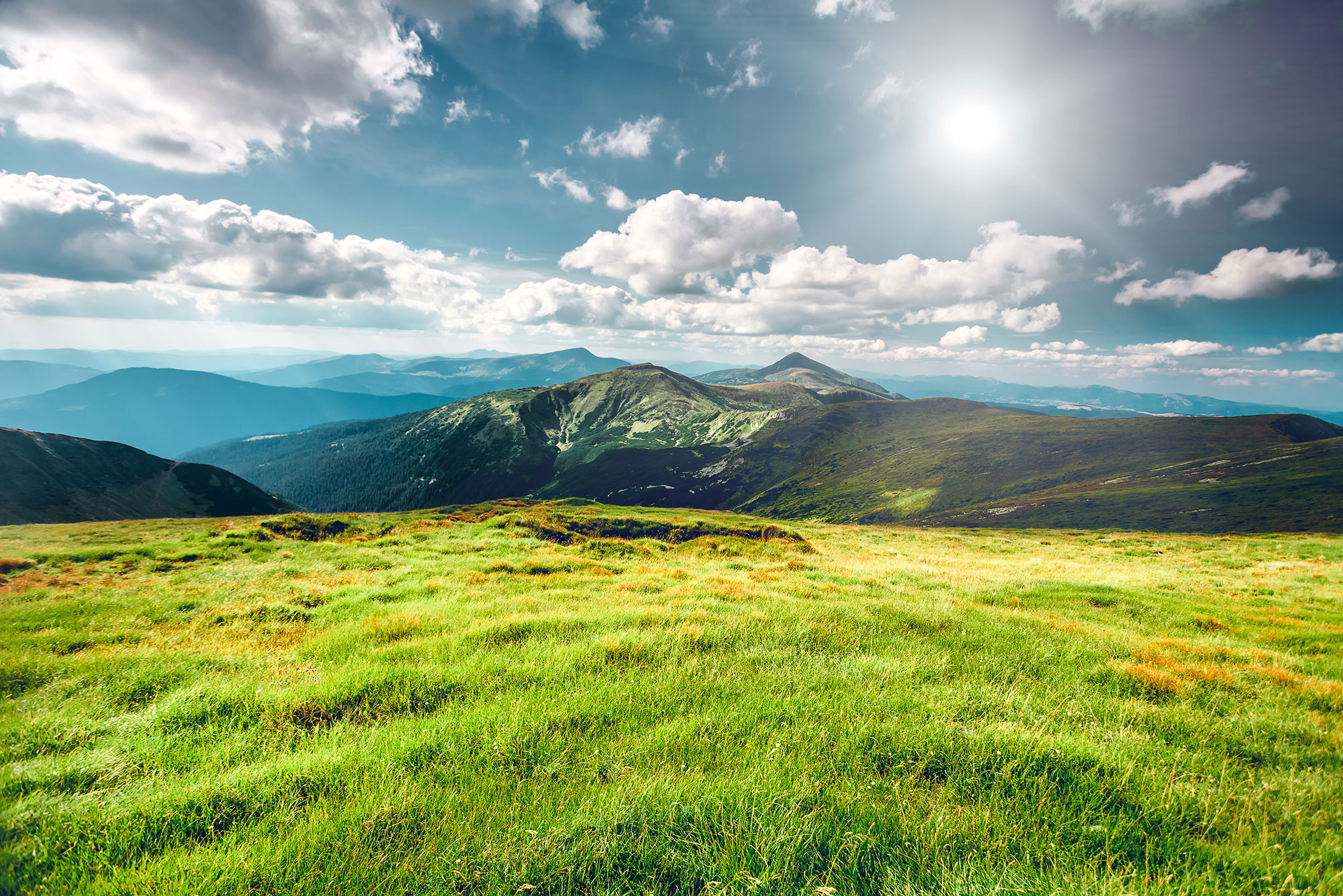 animalkind-mountain-landscape-summer