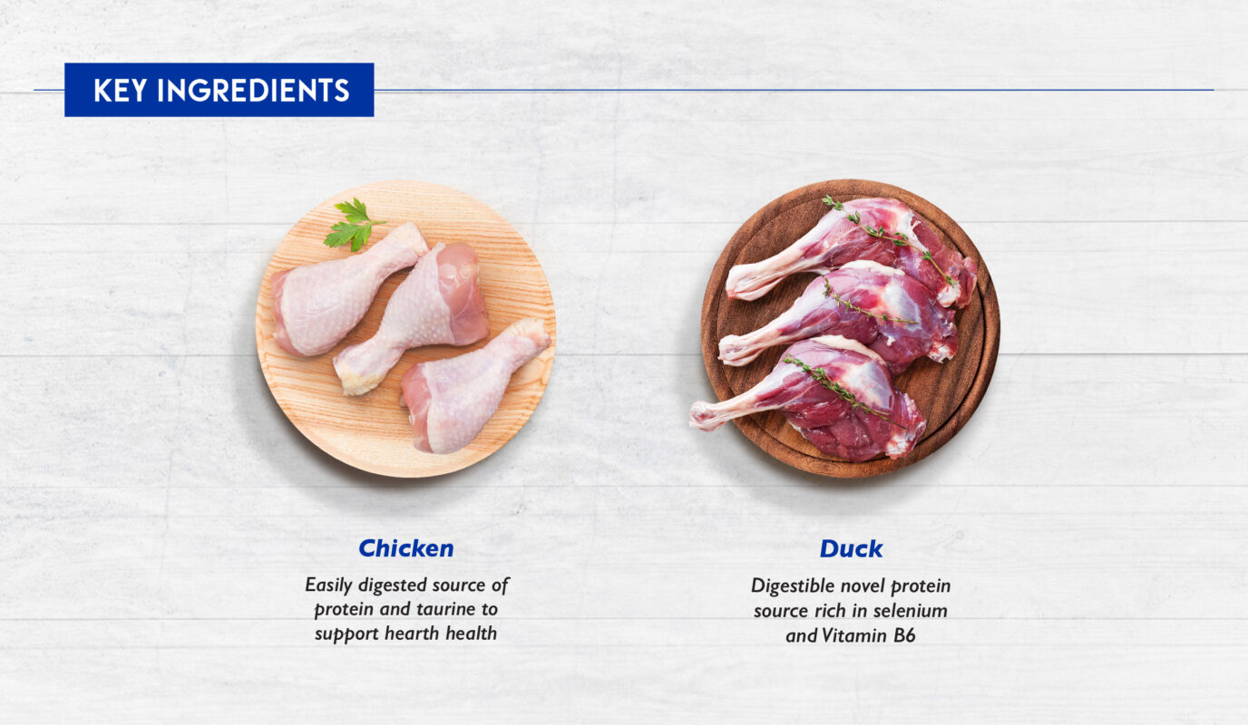 Aminalkind Canned Food Chicken Duck_key ingredients