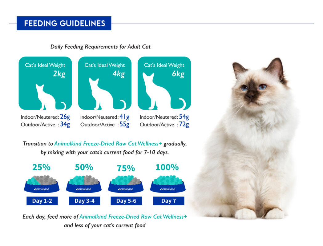 Animalkind Freeze Dried Raw Food Cat Wellness_Content 6_feeding_guidelines