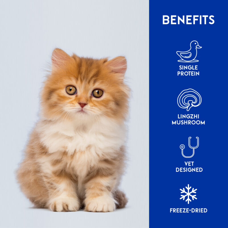 Animalkind Freeze Dried Treats Pear & Duck & Lingzhi_Window Cat Benefits