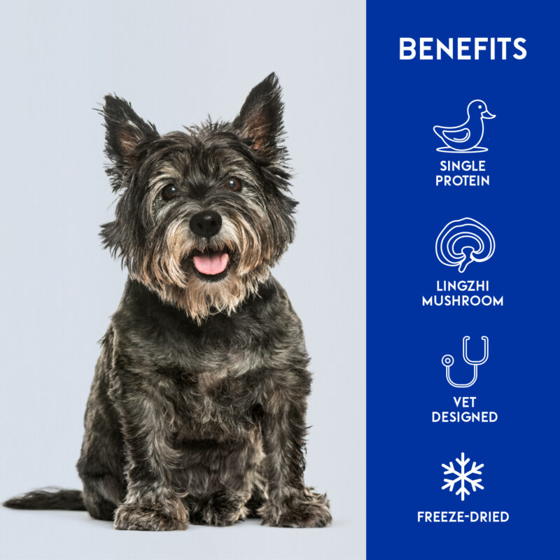 Animalkind Freeze Dried Treats Pear & Duck & Lingzhi_Window Dog Benefits